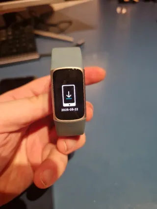 Fitbit Charge 5 Acero inoxidable/Azul