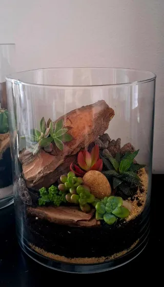 Terrario de cristal con suculentas