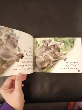 Brave Koala