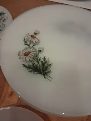 Juego Platos Arcopal Margaritas