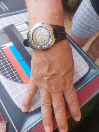 Reloj Casio Pro Trek Lunar Mareas