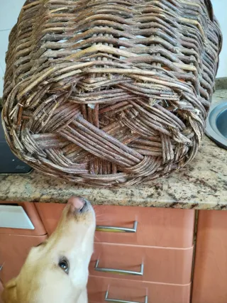 Cesta antigua de mimbre