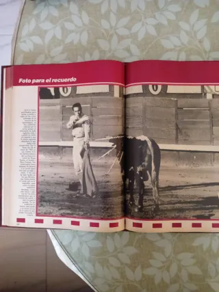 Libro de Curro Romero