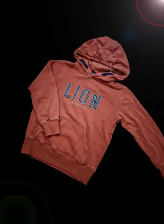 Conjunto Rapaz 5-6 anos Lion of Porsches