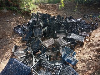 Cajas de plástico pequeñas