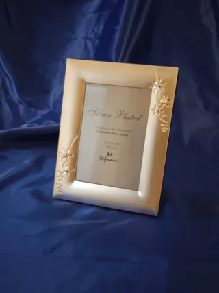 Marco de fotos Hofmann Plata