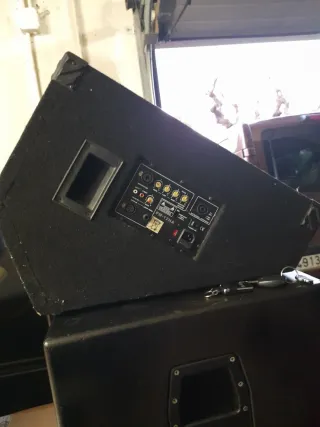 Monitor de escenario LM