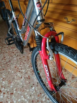 Bicicleta Paseo Globe Trotter