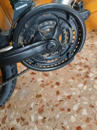 Bicicleta Paseo Globe Trotter