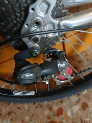 Bicicleta Paseo Globe Trotter