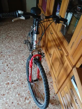 Bicicleta Paseo Globe Trotter