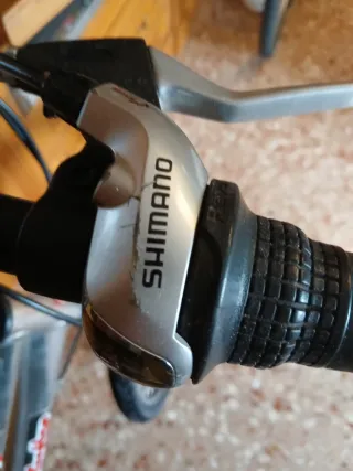 Bicicleta Paseo Globe Trotter