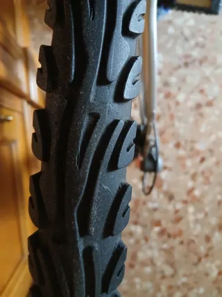 Bicicleta Paseo Globe Trotter