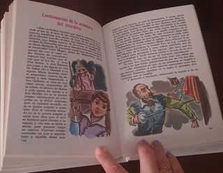 DON QUIJOTE DE LA MANCHA (ADAPTACION JUVENIL)