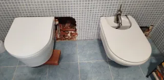 Conjunto Bater y Bidet Blanco