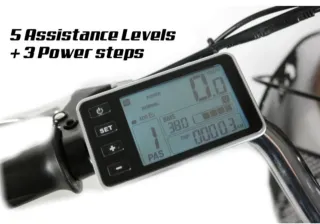 Bicicleta eléctrica de tres ruedas.