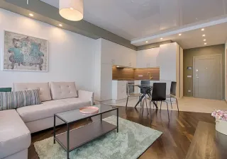 Pintor profesional a su servicio