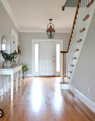 Pintor profesional a su servicio