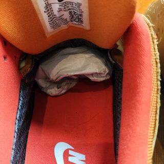 Nike Dunk Low Gore-Tex 2026