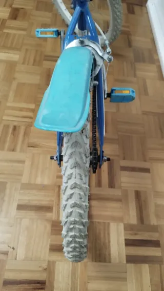 Bicicleta Infantil Azul y Rosa 20"