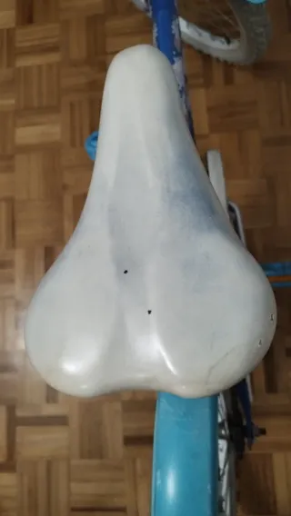 Bicicleta Infantil Azul y Rosa 20"