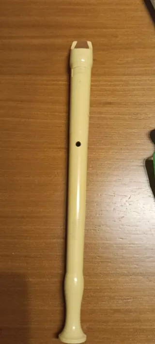 Flauta Hohner, plantillas y cuaderno