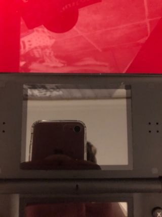 Nintendo DS Lite Negra + Madagascar + Cargador