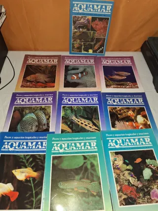 Lote 10 Riviste Aquamar 1988
