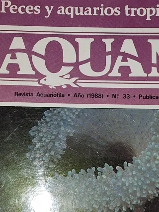 Lote 10 Riviste Aquamar 1988