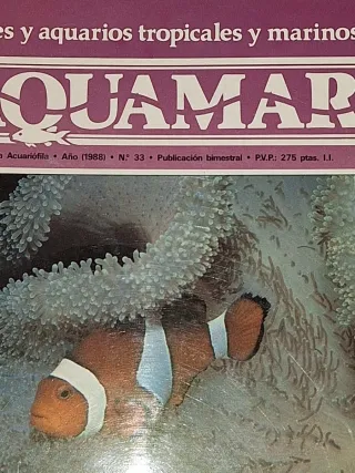 Lote 10 Riviste Aquamar 1988