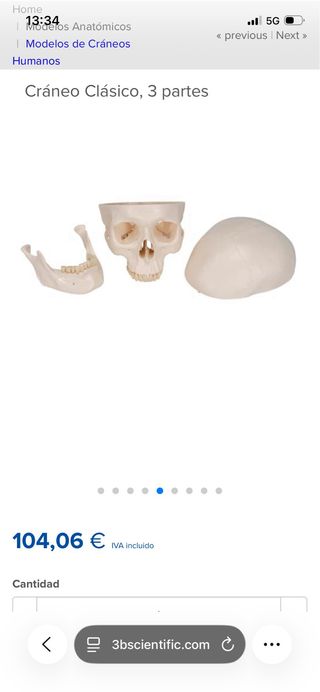 Cráneo Humano Clásico 3B Scientific GMBh Medicina