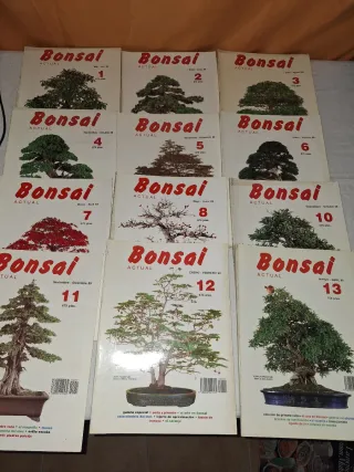 Lote 23 revistas bonsai año 1988