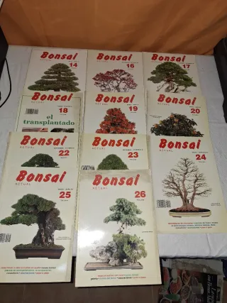 Lote 23 revistas bonsai año 1988