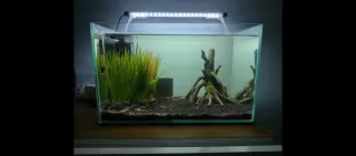 Acuario/Terrario 45L