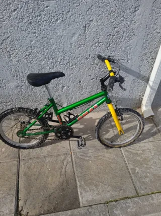 Bicicleta infantil verde y amarilla
