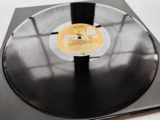 LP 1985 🇩🇪 LED ZEPPELIN - THE SONG REMAINS...