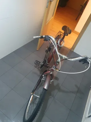 Bicicleta urbana color burdeos