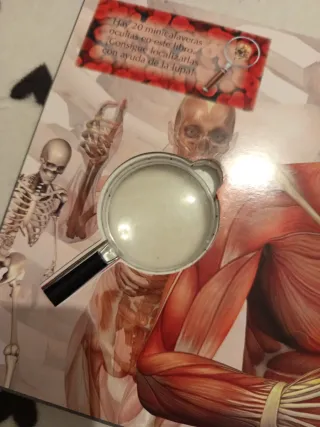 El cuerpo humano (Libros con lupa) (Spanish Edi...