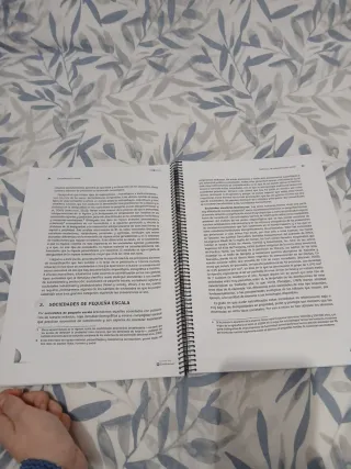 Estratificacion social