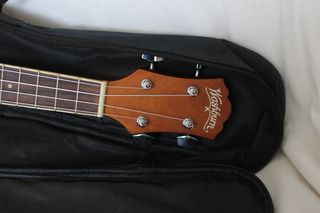 Ukelele Washburn con funda