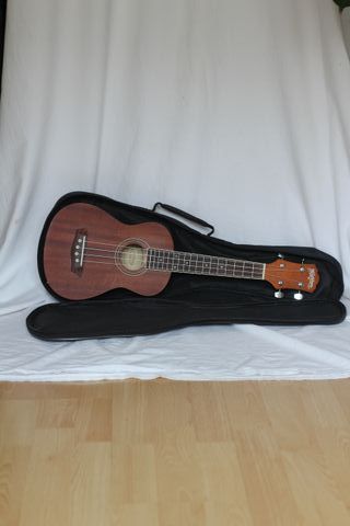 Ukelele Washburn con funda