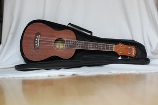 Ukelele Washburn con funda