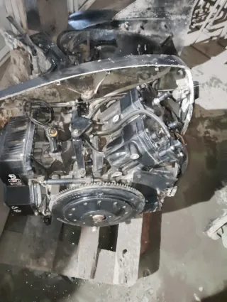 Motor fueraborda, tan como se ve