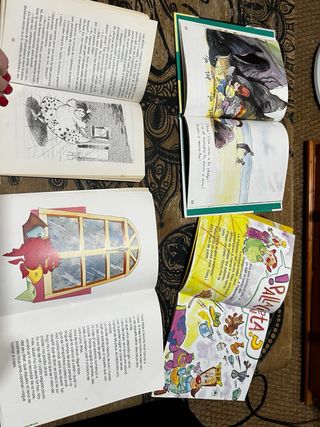 14 Llibres-en catalán El perque  de les coses-Tina