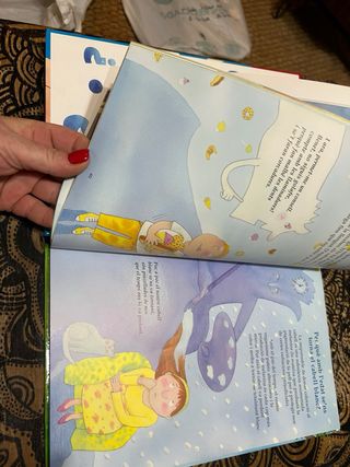 14 Llibres-en catalán El perque  de les coses-Tina