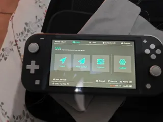 Nintendo Switch Lite gris