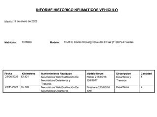 Renault Trafic Energy