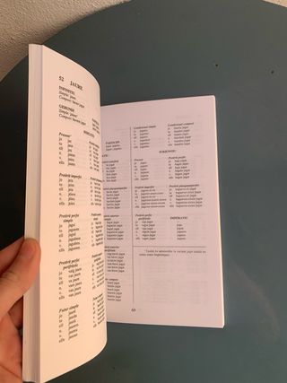 Libro La flexió verbal (Catalan Edition)