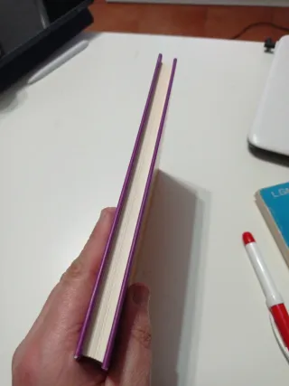 Vero en la corte del rey Arturo