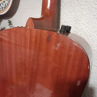 Guitarra Acústica Marrón, marca RITTER